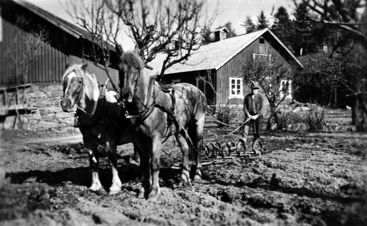 Troligen Herman Johansson med två hästar. Familjen Johansson sålde sin gård i Bälinge 1933 och flyttade till MAriedal i Alingsås där de arrenderade. Huset hade tre rum och kök på bottenvåningen och ett rum på övervåningen.  

Familjen bestod av föräldrarna och sex syskon varav fyra bodde med föräldrarna vid flytten till Mariedal.

Uppgifterna kommer från Inez Jansson (född Johansson) dotter i familjen.