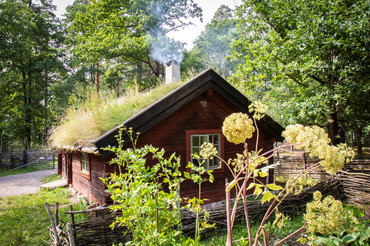 Ryttartorpet Tidstorp i Vallaskogen.
Torpet Tidstorp kommer från början från Malmslätt utanför Linköping och har varit soldattorp sedan början av 1800-talet, då det byggdes. Fähuset (ladugården), ladan och boden kommer från trakterna kring Norra Vi i södra Östergötland. Byggnaderna flyttades till Garnisonsområdet i Linköping och blev museum där 1923. År 2018 flyttades de till Gamla Linköping och restaurerades till ursprungligt skick. Torp. Grästak. Trädgård. 

Bilder från staden Linköping år 2024.