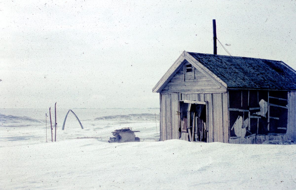 Isfjordtur - Camp Bell