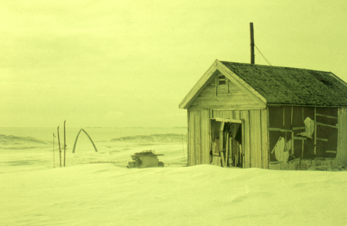 Isfjordtur - Camp Bell