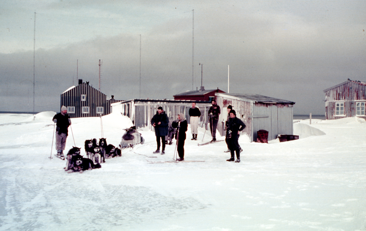 Hjem fra Isfjord