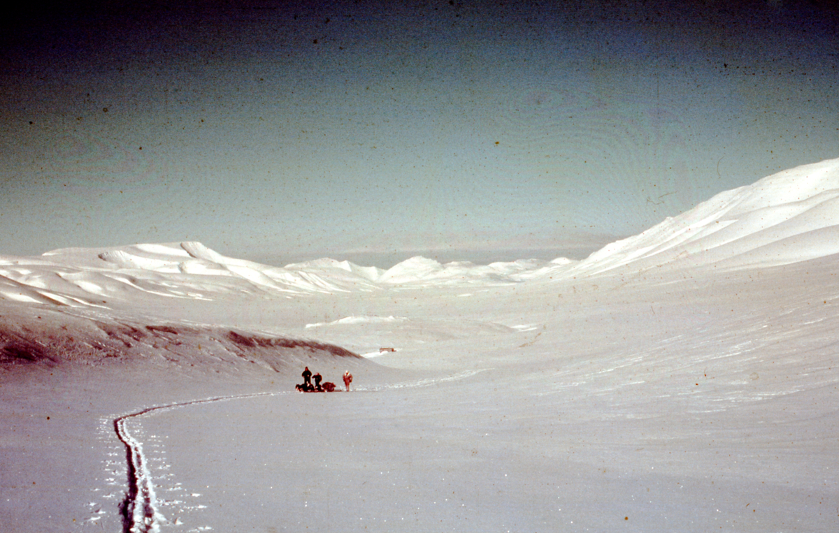 Hjem fra Isfjord - Grøndalen. 