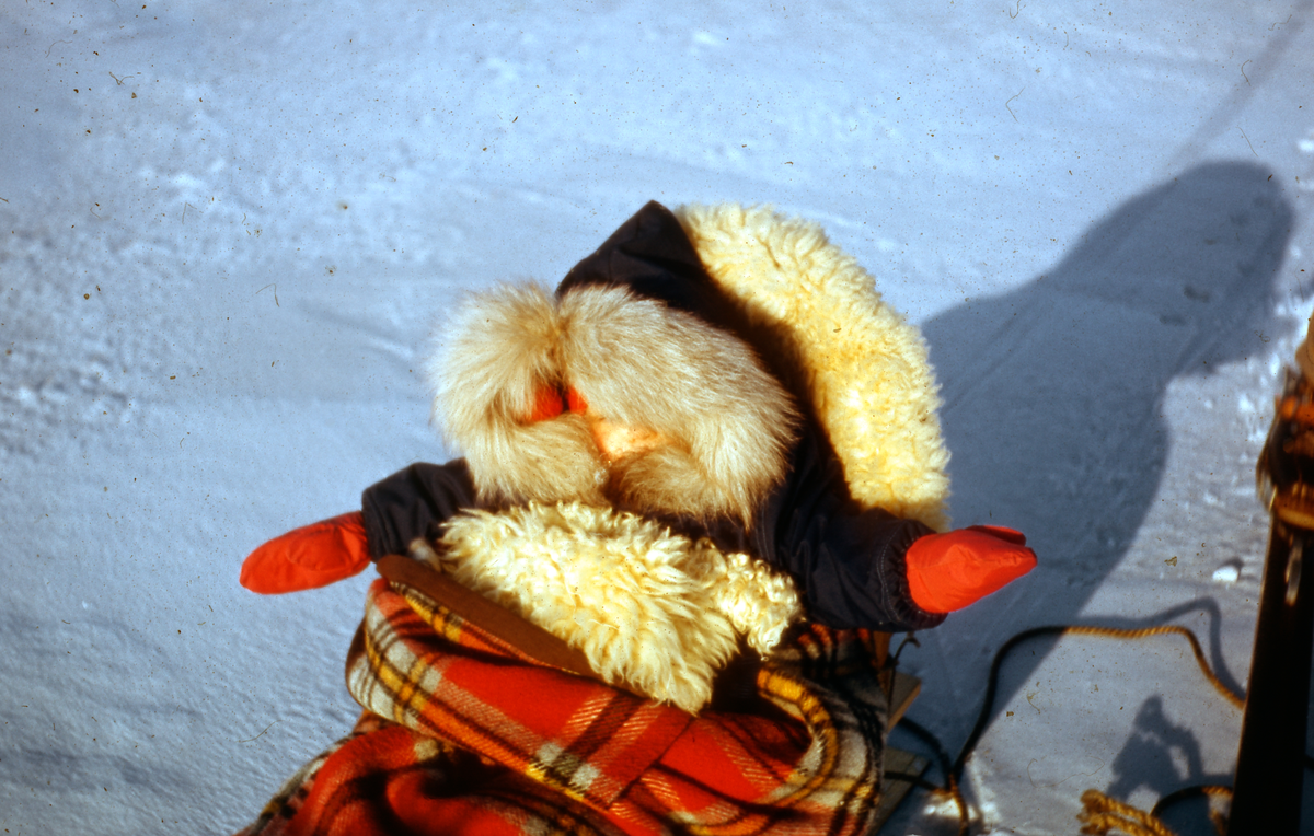 "Familietur til Hiorthhamn. 