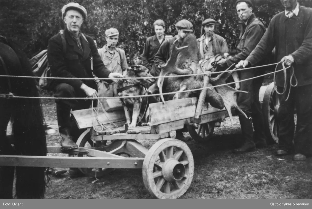 Elgjakt-lag med jaktbyttet på kjerre/hest, Ådalen i Rakkestad ca 1947-48. Flere vartinger er med. 
Fra venstre: Lorentz Bergli, Johannes Bergby, Oddvar Ådal, Nils Bergby, Bjørgan Belsby F. 1910, Erling Larsen, med tømmene Lars Ådal. 
Bildet er tatt i Ådal i Rakkestad, elgen ble derfra kjørt videre på lastebil.