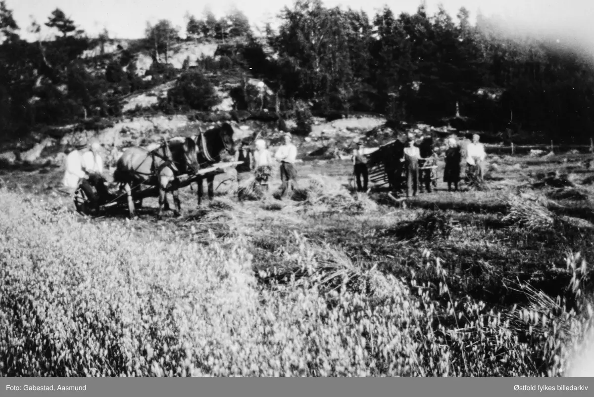 Skuronn på Skaulund i Varteig ca. 1932-33. Nils Bergby og Petter Dybedahl er med på bildet.