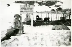 Pekka og Lise-bjørnene på Maristuen Filefjell.