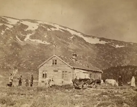 Alfheim i Grødalen – «Jaktslott og fjellhytte»
