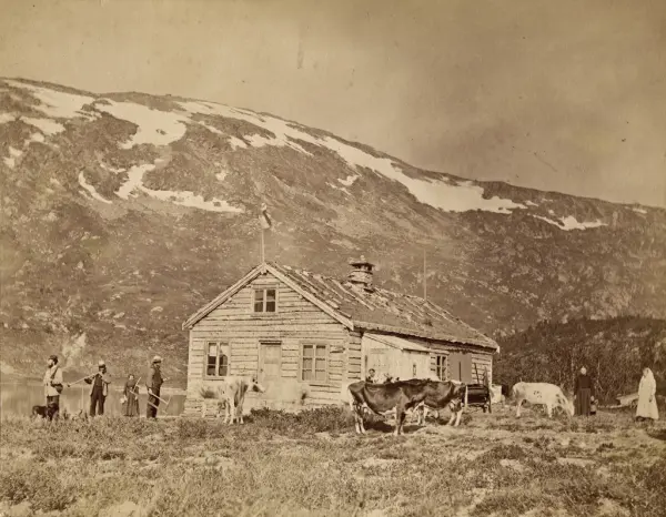 Alfheim i Grødalen – «Jaktslott og fjellhytte»