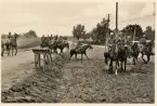 Skånemanövern 1935. 
Kavallerister längs en landsväg.