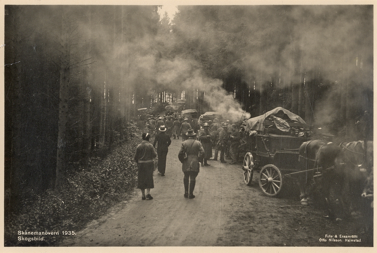 Skånemanövern 1935. 
Matrast längs en skogsväg.