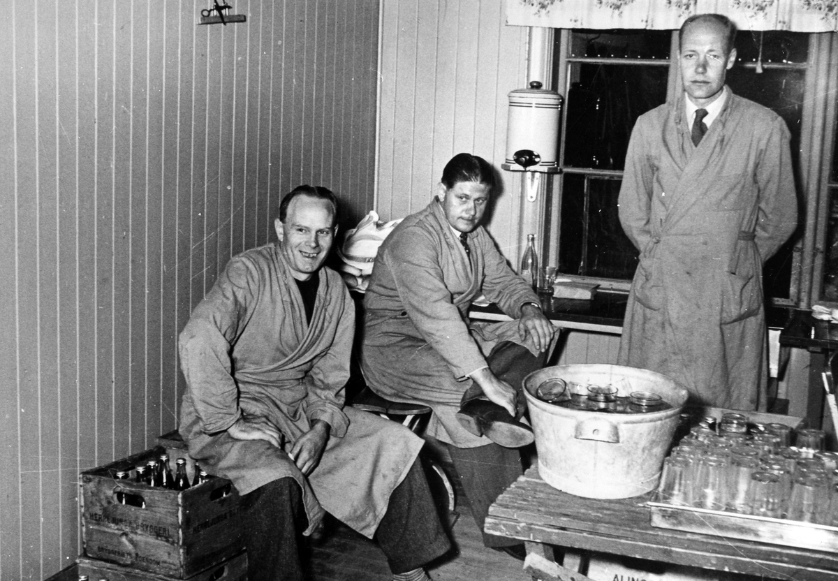 "Korvgänget" i Folkets park, 1954.