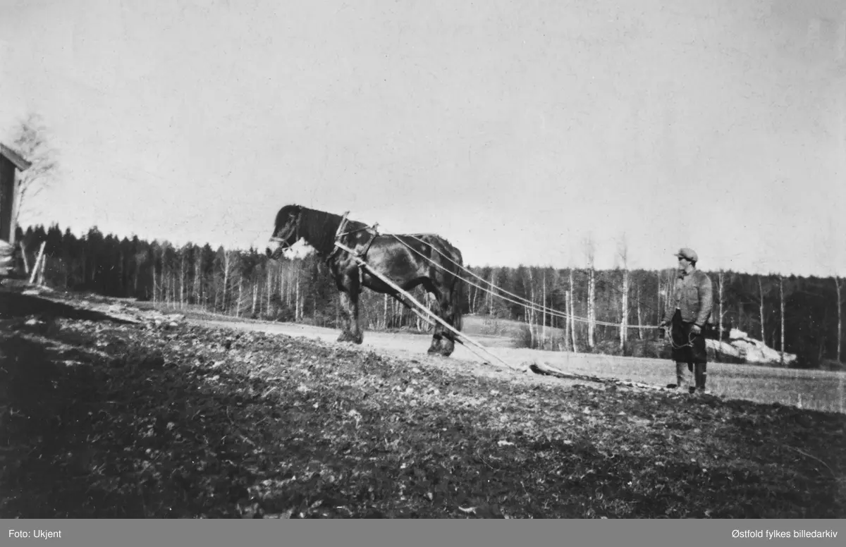 Arnold Brusevold kjører stein til driftsbygning på Askersby, Varteig ca. 1950-55..