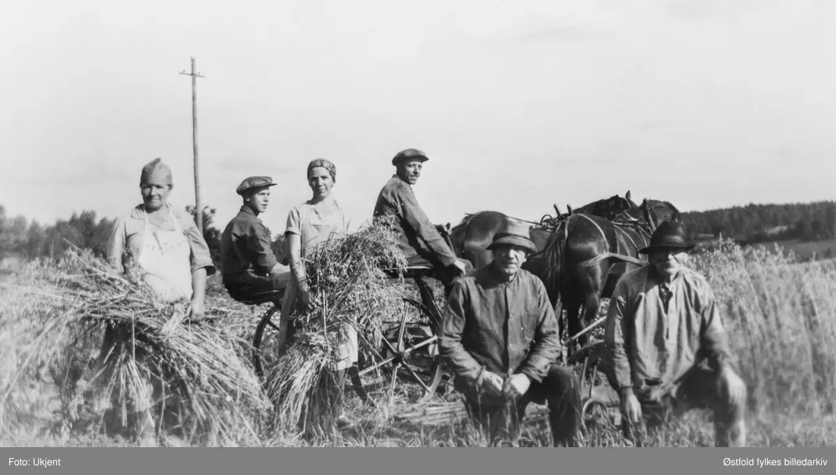 Skuronn på Sælid i Varteig 1937. Bildet er tatt øst for lagården, i nordlig retning. Fra venstre: Elise Sælid, Peder Westgård, Randi Sælid, Anders Sælid, Rikard Sælid, Simen Sælid.