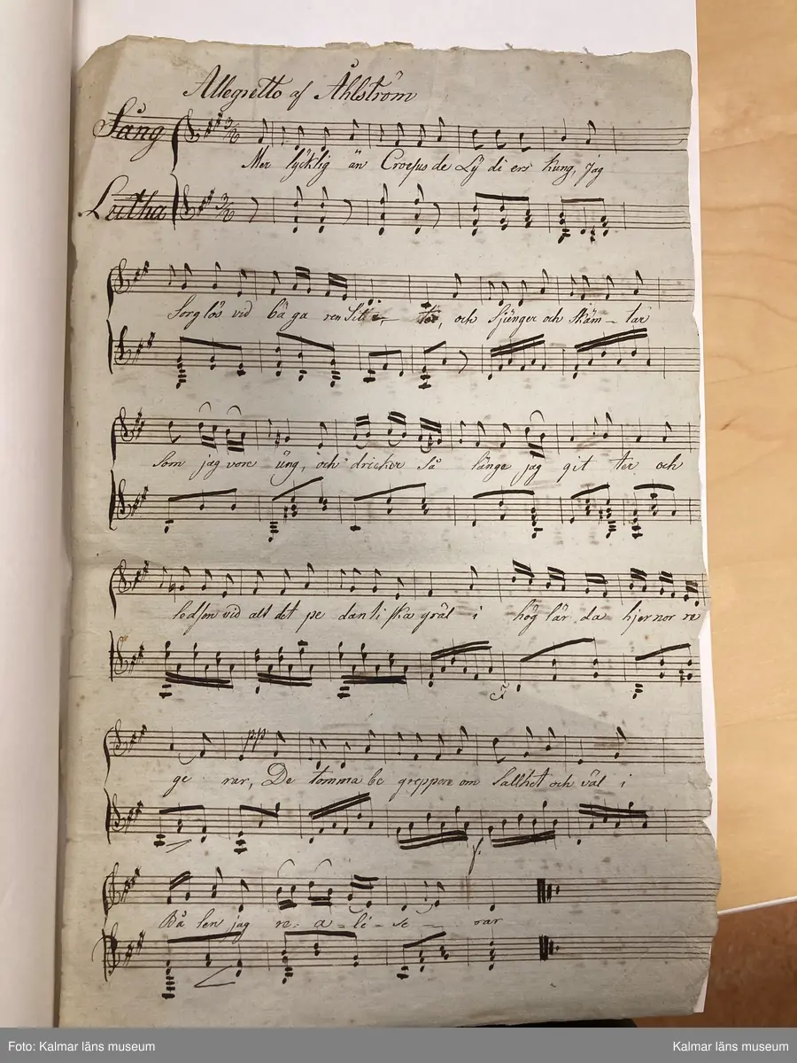 KLM 14062:2. Noter. Av papper. Handskrift, 9 lösa blad, 14 sidor med noter utan direkt inbördes sammanhang, innehållande musik för luta solo, duetter för två lutor samt luta och sång. Handskriften har förvarats i fodralet till luta KLM 14062:1. Olika mått.

Blad 1. Löste med Tummen [spelanvisningar]
Blad 2-2v. March [luta solo]
Blad 3. Allegretto ur Målarn och Modellerna [Étienne Nicolas Méhul] [sång och luta]
Blad 4. Andantino mezzo u Cendrillon [Niccolo Isouard] [duett för lutor?]
Blad 4v. [fragment, duett för lutor?]
Blad 5. Andante utur Hemligheten af Della Maria [Della Maria, Dominique eller Jean Pierre Solié] [duett för lutor?]
Blad 5v. Gläd dig medan du förmår... [endast text]
Blad 6. Romance af Fr[anz] Danzi. Sång/Lutha. Sörg icke mer...
Blad 7. Andante. Den man som utaf kärlek brinner... [Wolfgang Amadeus Mozart] [sång och luta]
Blad 8. Andante. Som en ängel från det ljusa - höga skön han var... [sång och luta]
Blad 8v. [Fragment för luta solo]
Blad 8v. Uppå de höga alpernes [sång och luta med fragmentarisk text]
Blad 9. Polonaise af Nauman [Johann Gottlieb Naumann] [luta solo, ej komplett, ur operan Gustaf Vasa?]
Blad 9v. Allegretto af [Olof] Åhlström. Mer lycklig än Croesus de Lydiers kung... [Sk XI:4]

Informationen ovan kommer från inventering av Kenneth Sparr, https://www.tabulatura.com/SITTRA4.htm