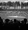 Gymnastiken, 18/5 1939. 
Truppgymnastik på Värendsvallen, fotot taget från läktaren.