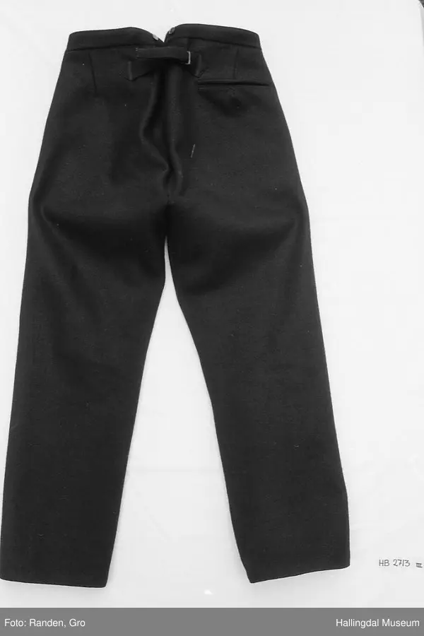 Mannsbunad fra Hallingdal, trøye, langbukse og vest. Trøye i svart vadmål. Svart fløyelskrage. Stikningar i rygg, front, lommer og erme. Ei brystlomme og to lommer, samt ei innerlomme. Stripa for i raudt, gult, grønt og blått. Blåstripa for i ermene. 10 sølvknappar framme laga av gamle myntar. Samt tre i kvart erme. Vest og lang bukse.