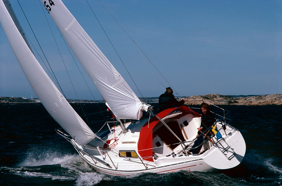 Scampi 30