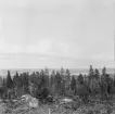 Falun, Tomsarvet, Gassarvet, Stussarvet, Berg. Västeråns Bergslag 1926.