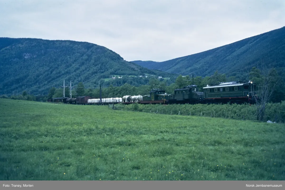 Elektrisk lokomotiv El 5 2039 (fremst) , RjB 14 og RjB 10 med godstog fra Rjukan til Mæl