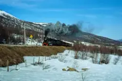 Damplokomotiv 26c 411 med veterantog retning Bergen, her i Ustedalen mellom Geilo og Ustaoset