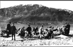 Motiv av arbeid med klippfisk.
