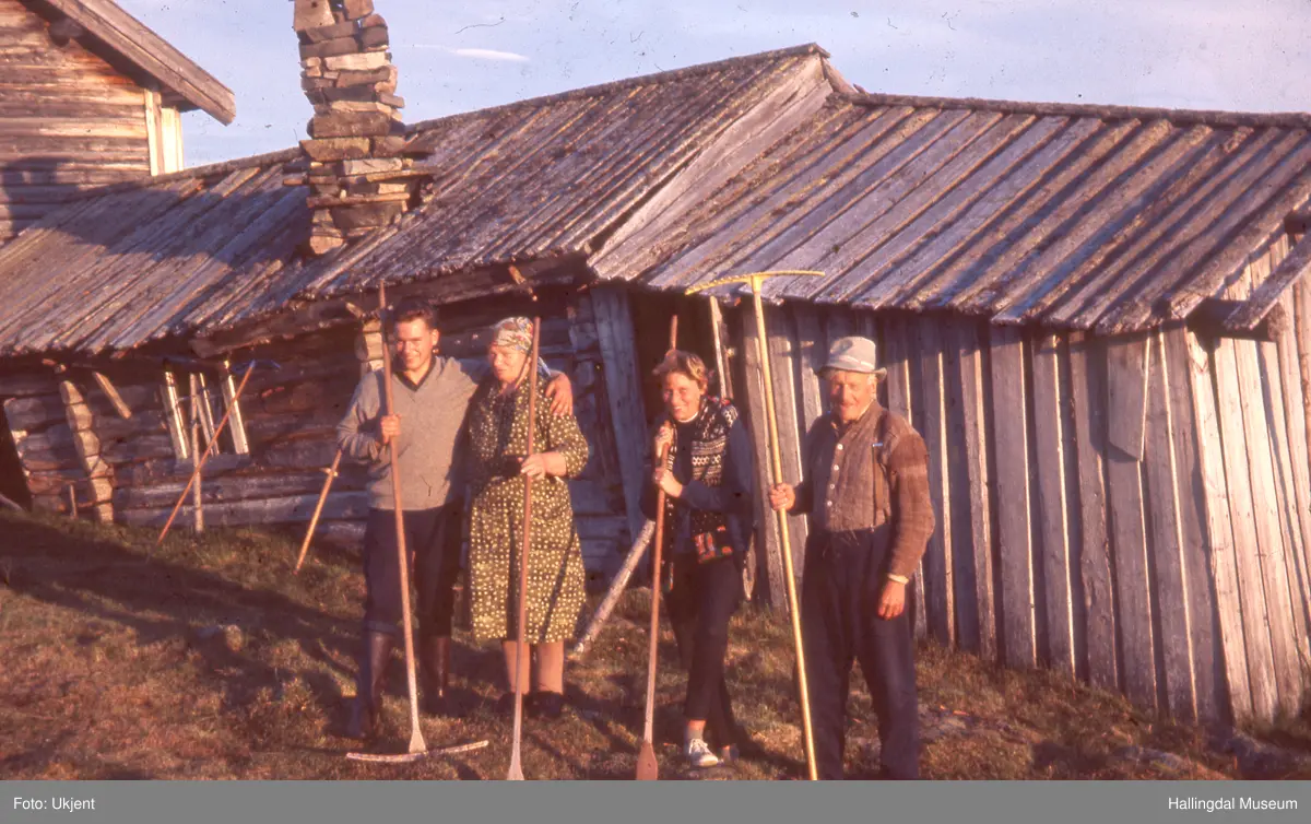 Seterliv
Slåttefolk
