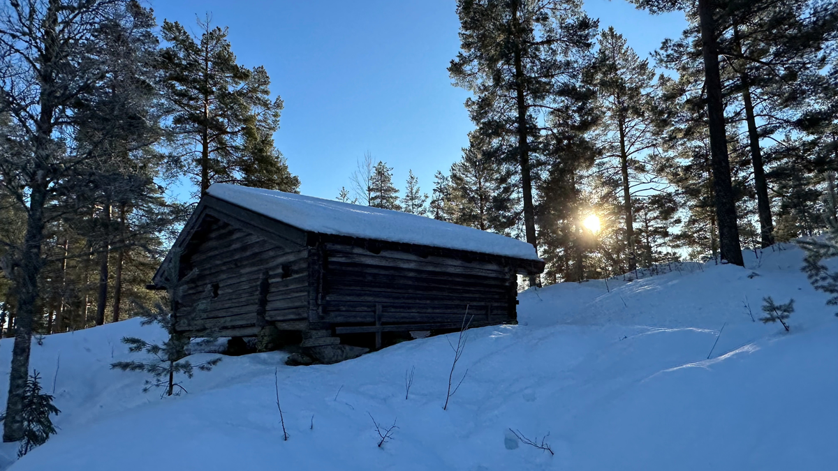 Sommerfjøs fra gården Bergane i Tørdal, oppført omkring 1850 og flyttet til bygdetunet i 1968. Fjøset var en gave fra Jon Bjørn Bergane.