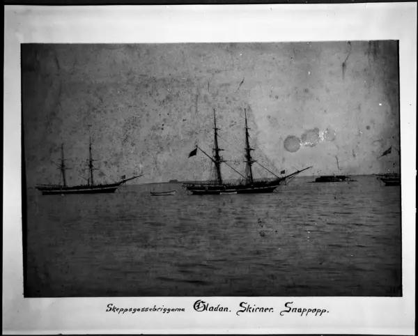 Skeppsgossebriggarna Gladan, Skirner och Snappopp