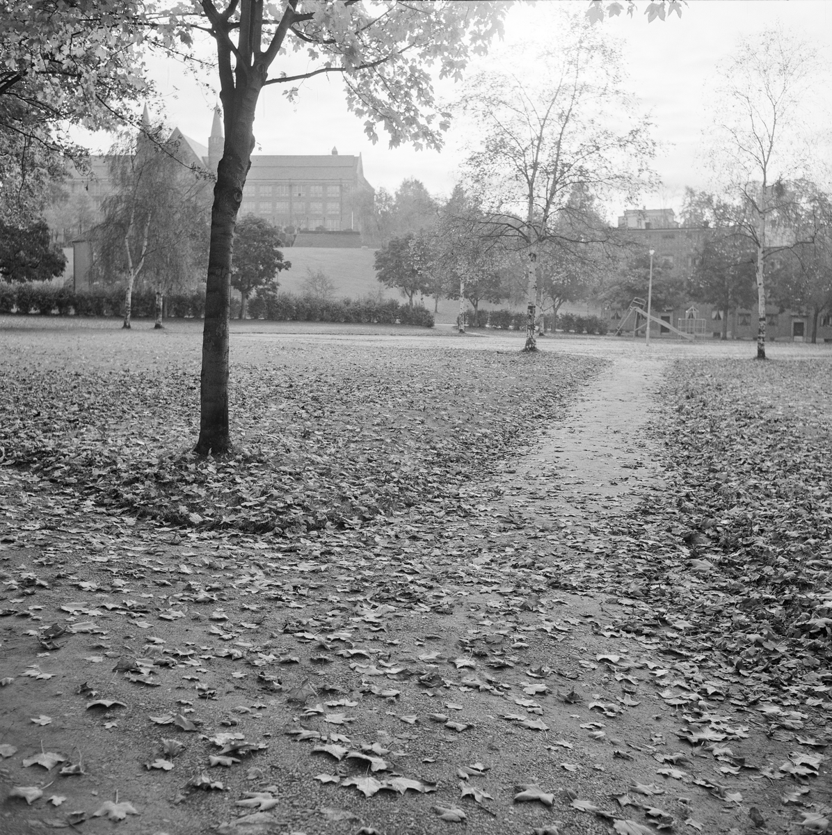 Høstbilder fra Høyskoleparken