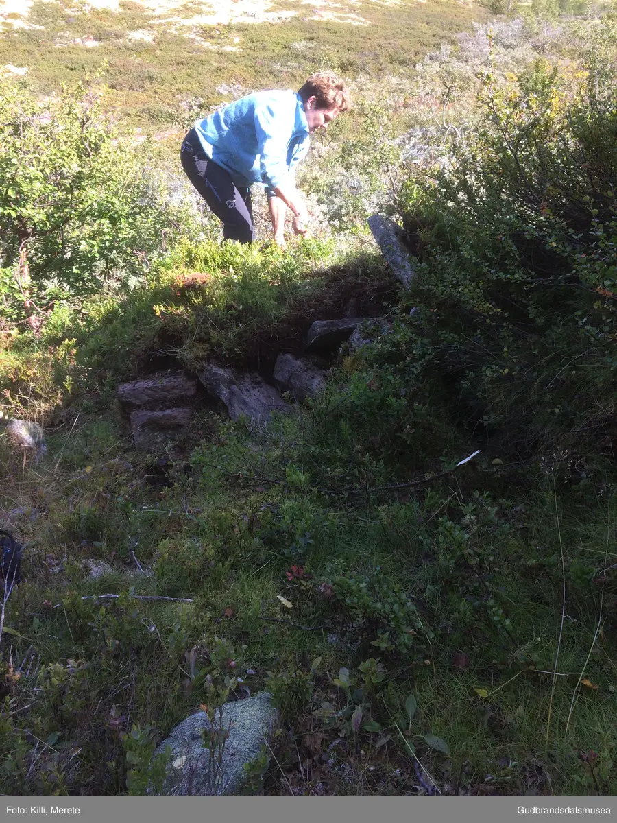 Burest på nedsida av Haverdalsvegen ved starten av stigninga opp frå Haverdalen.