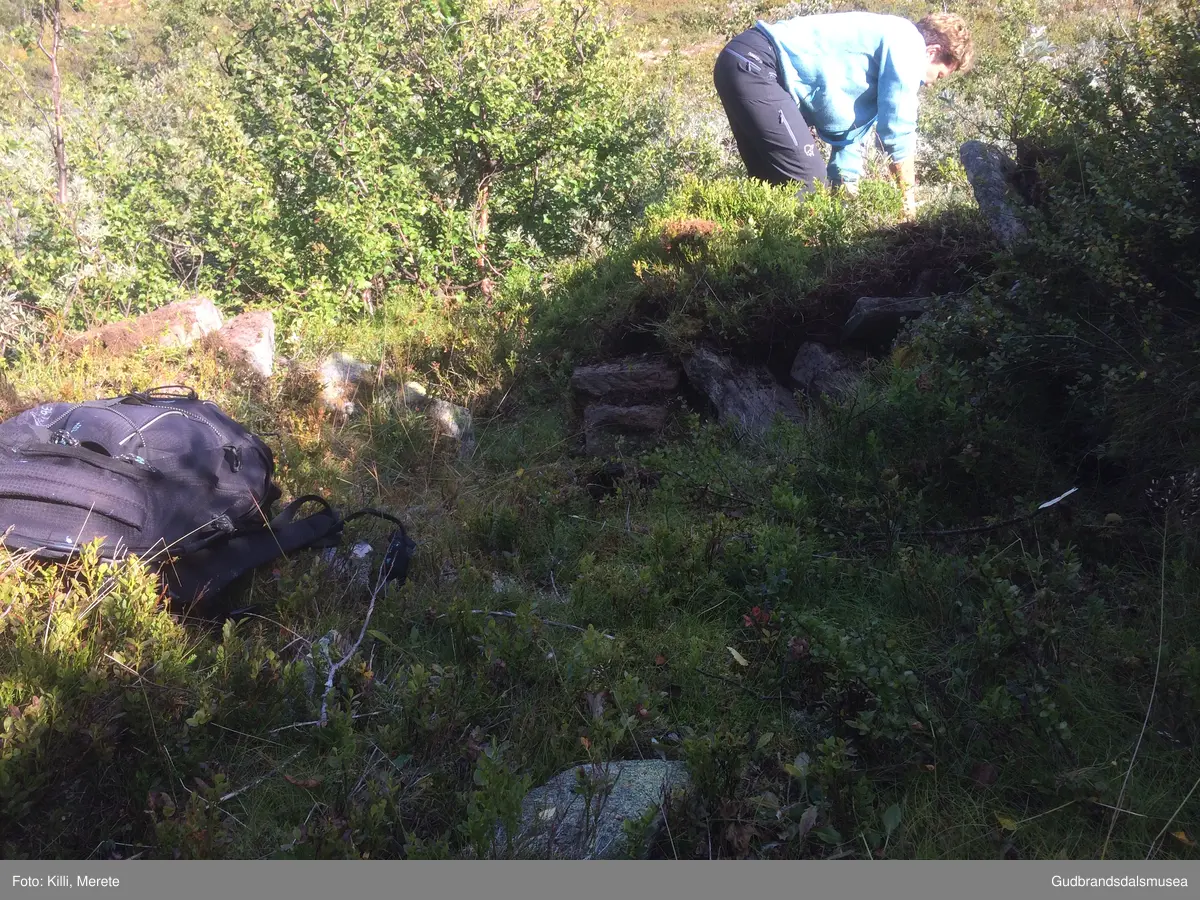 Burest på nedsida av Haverdalsvegen ved starten av stigninga opp frå Haverdalen.
