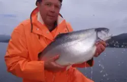 Bildeserie : Ukjent mann holder opp en regnbueørret