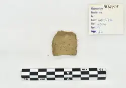 Äs, Romfartuna (RAÄ 119:1) - undersökt år 1967