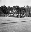 Medborgartåget, 16/6 1940. 
Fanborgen på Värendsvallen. 
Ett antal olika organisationer har ställt upp sig med fanor.