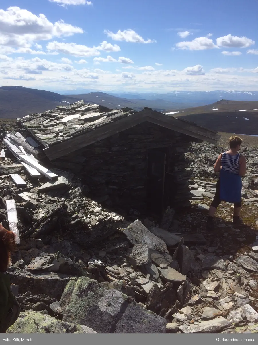 Steinbu på vestsida av Falketind på Dovrefjell.