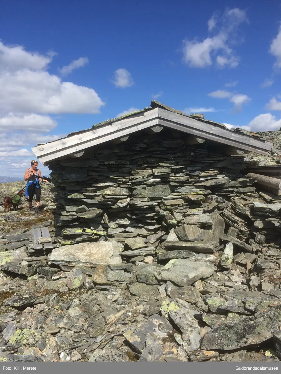 Steinbu på vestsida av Falketind på Dovrefjell.