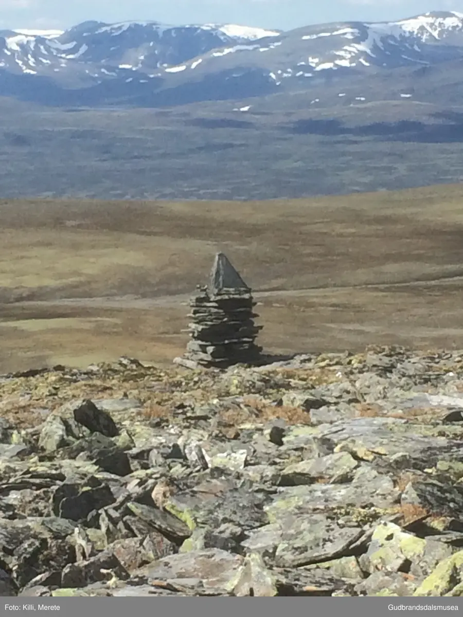 Steinbu på vestsida av Falketind på Dovrefjell.