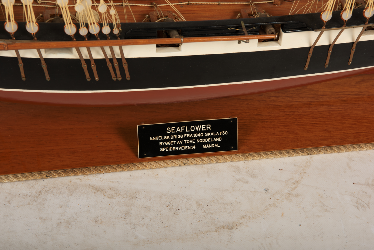 Modell av engelsk brigg "Sea Flower"