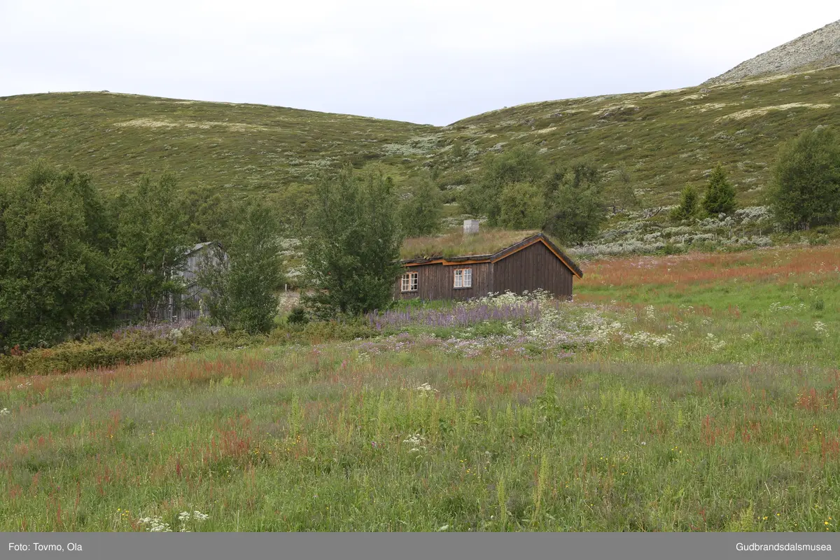 Langlykkjesetra ved Eftansåe på Dovre.