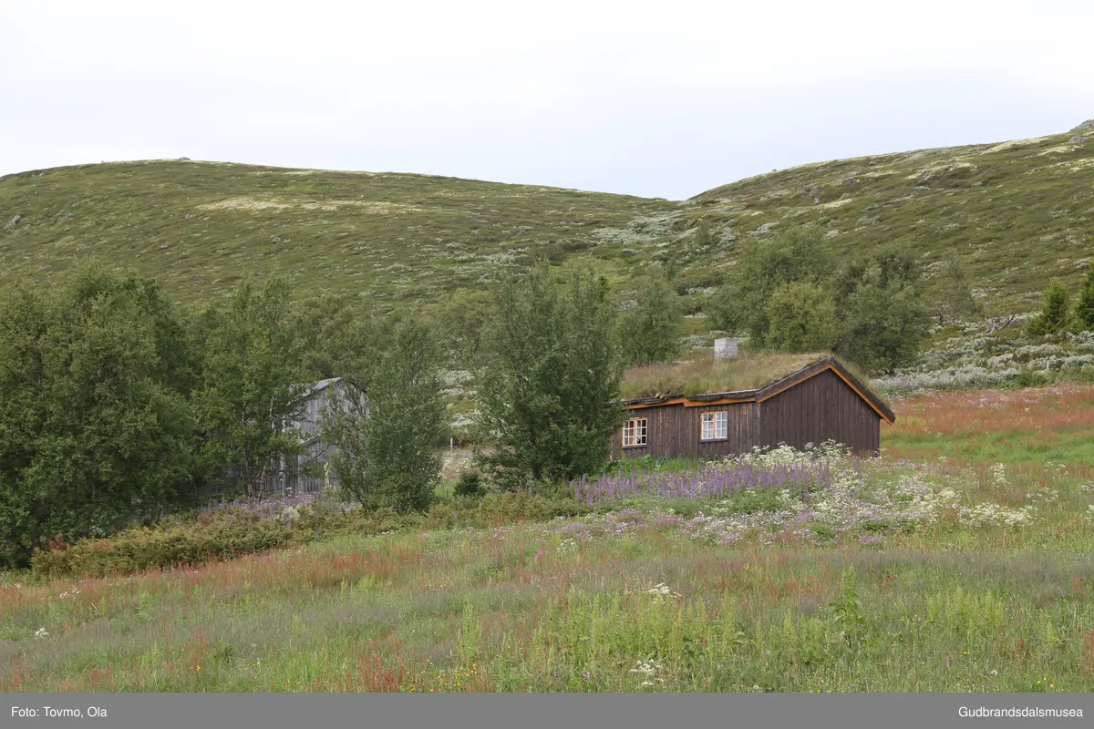 Langlykkjesetra ved Eftansåe på Dovre.