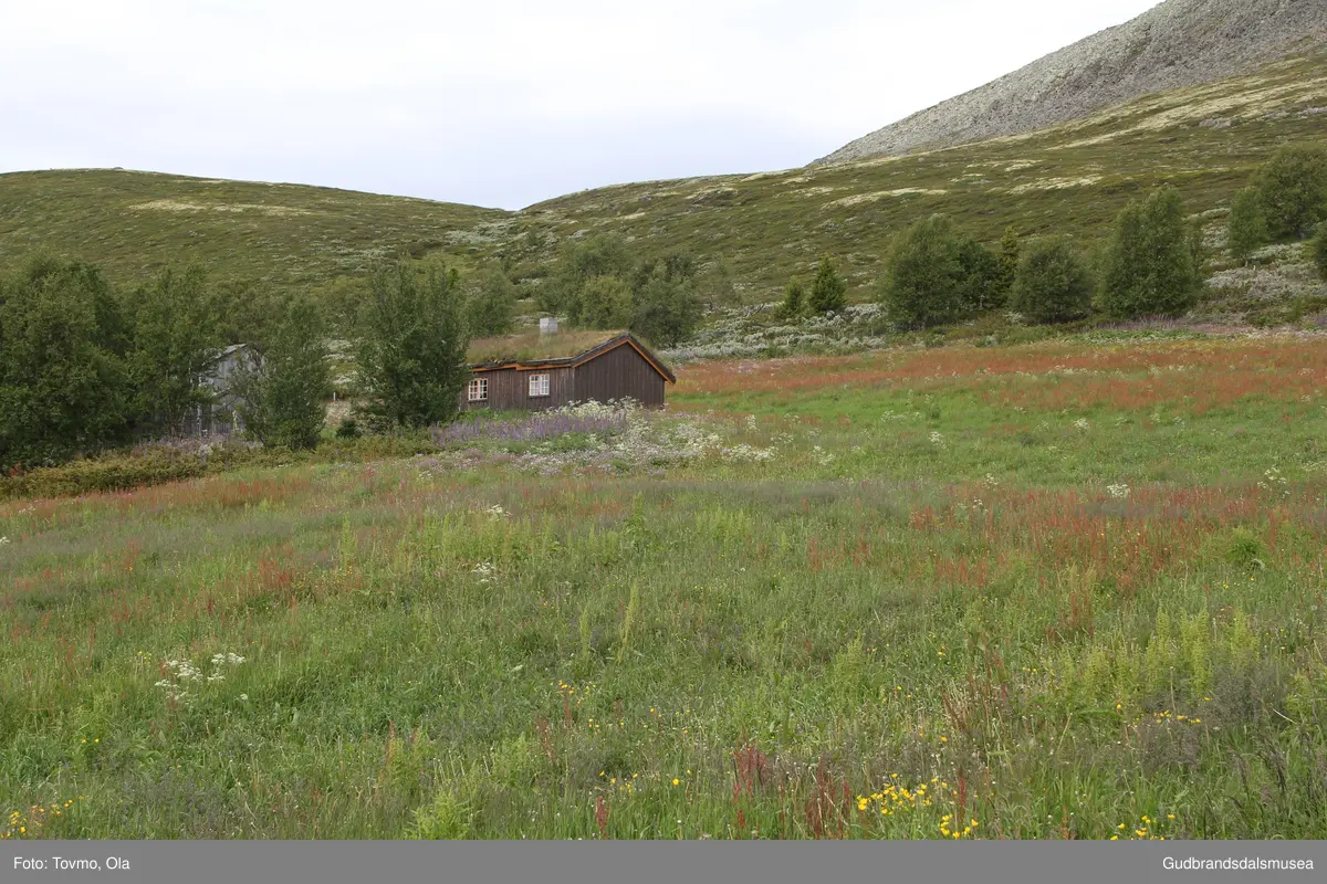 Langlykkjesetra ved Eftansåe på Dovre.