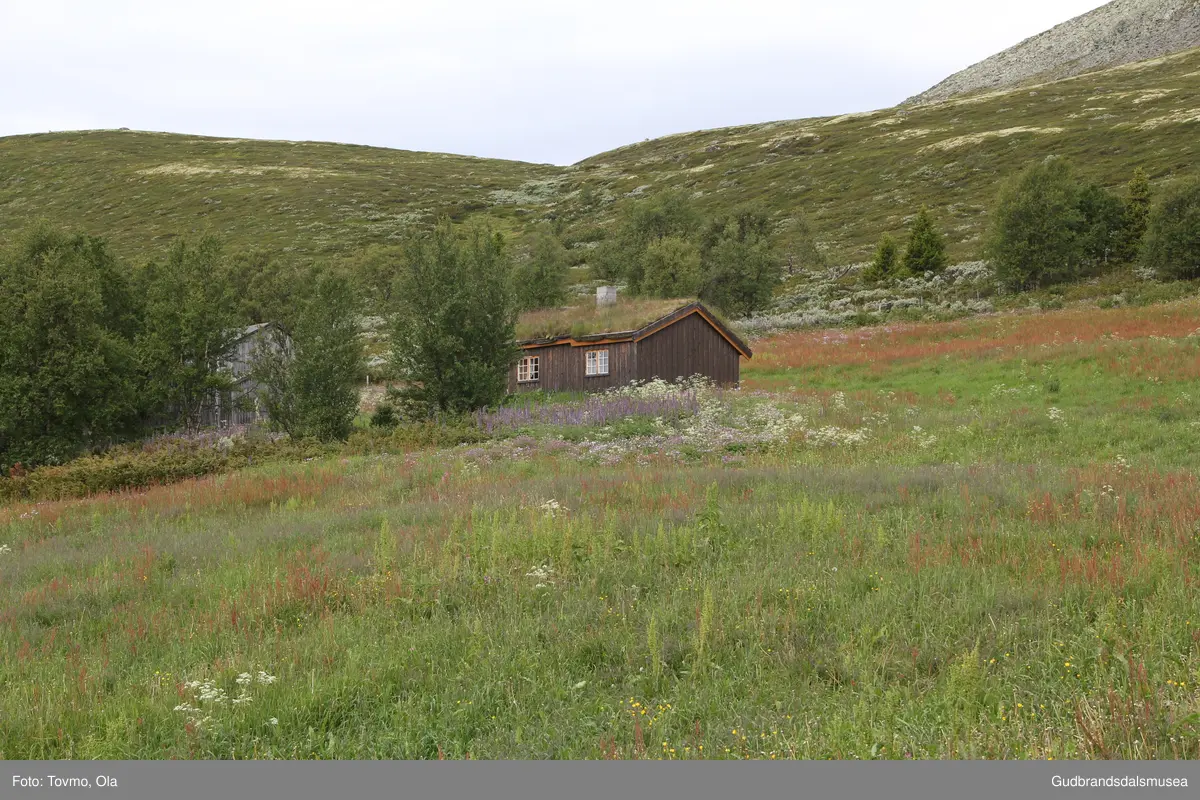 Langlykkjesetra ved Eftansåe på Dovre.