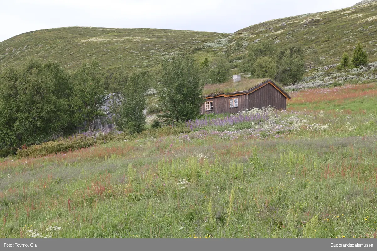 Langlykkjesetra ved Eftansåe på Dovre.