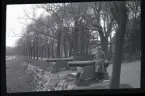 En man bredvid en kanon vid en allé.