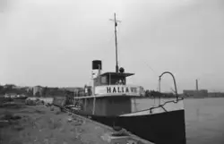 HALLA VII