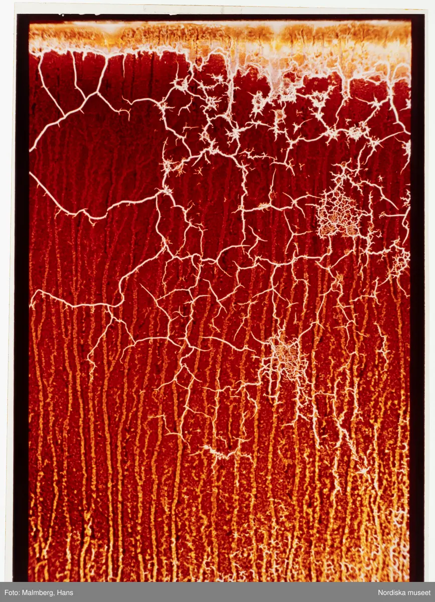 Abstrakt bild/ mönster.