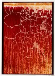 Abstrakt bild/ mönster.