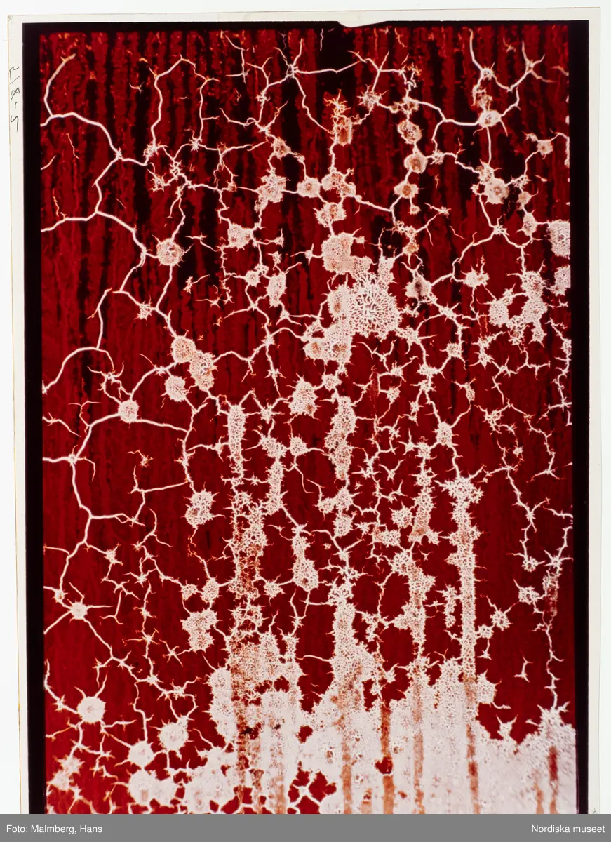 Abstrakt bild/ mönster.