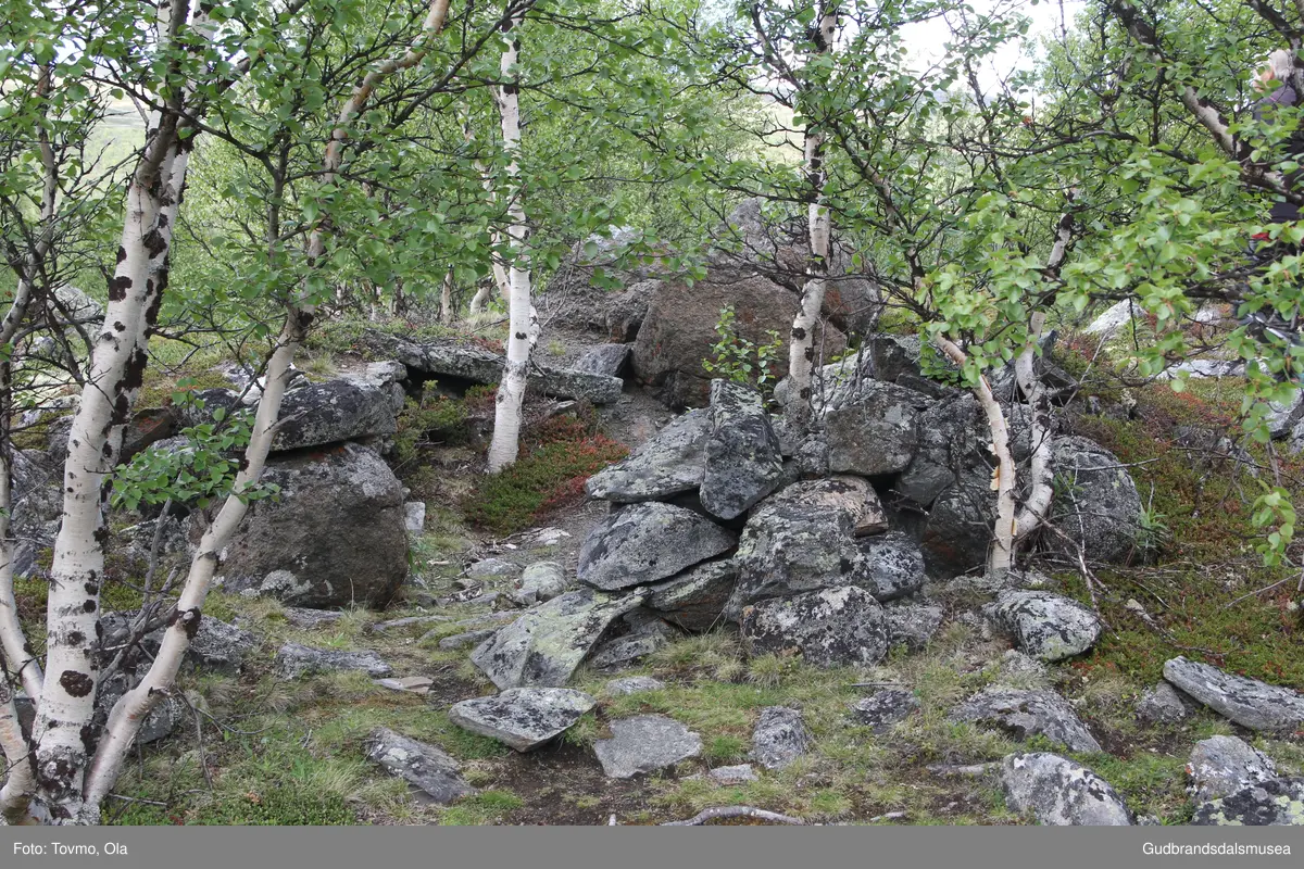 Steinmurar (burest?) ved eigen inn til Toftesetra ved Avsjøen på Dovrefjell.