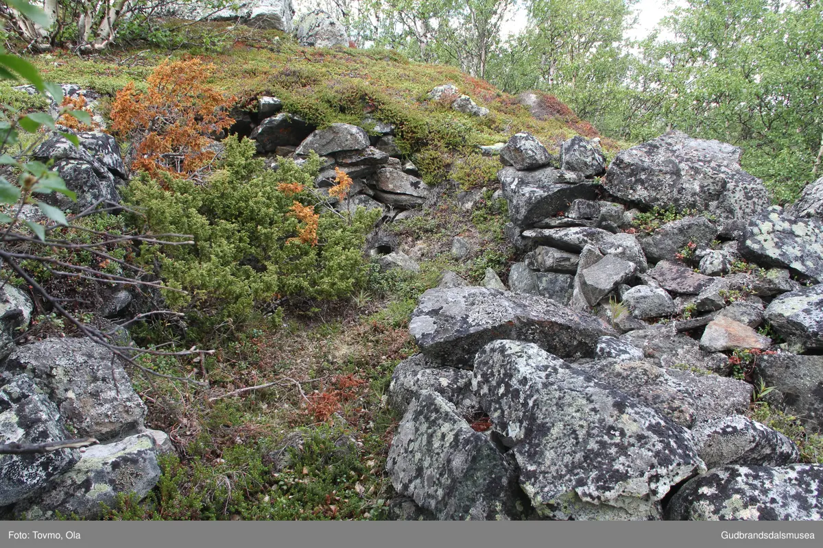 Restar etter ei gamal steinbu ved vegen inn til Toftesetra ved Avsjøen på Dovrefjell.